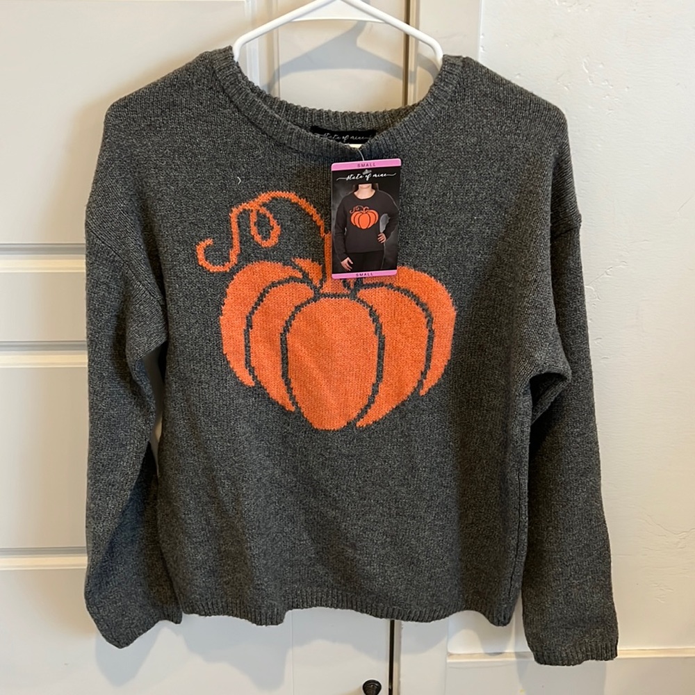 Brand new comfy pumpkin sweater size small. From target.